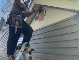 Best Steel Siding Installation  in Necedah, WI